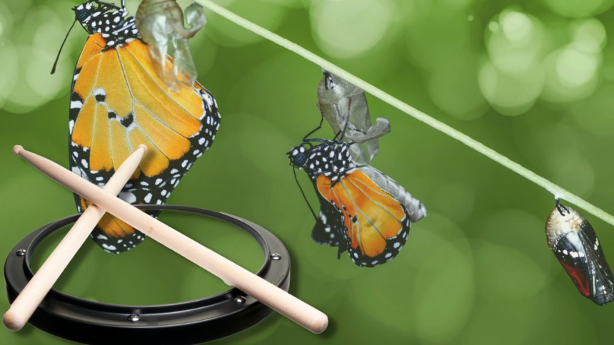 Metamorfosis golpe simple a paradiddle