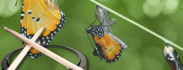 Metamorfosis del golpe simple a paradiddle