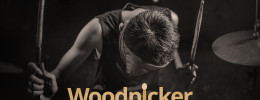 Thomann Woodpicker, un buscador de baquetas por tamaño, punta y artista