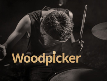 Thomann Woodpicker, un buscador de baquetas por tamaño, punta y artista